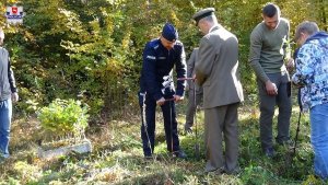 Posadzenie 100 dębów na 100-lecie odzyskania niepodległości