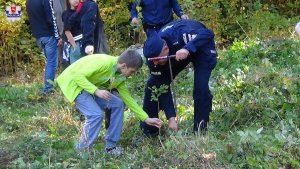 Posadzenie 100 dębów na 100-lecie odzyskania niepodległości