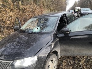 samochód stojący w przydrożnym rowie z wybitą przednią szybą