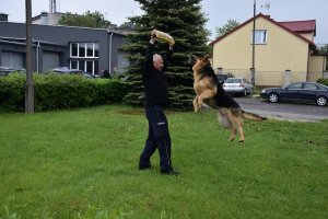 Zdjęcie przedstawia policjanta z psem.