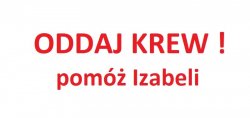 Zdjęcie przedstawia grafikę z napisem &quot;Oddaj Krew pomóż Izabeli&quot;.