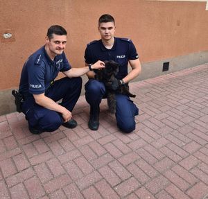 policjanci z kotem