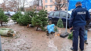 Policjant kontroluje punkt sprzedaży choinek i rozmawia ze sprzedawcą