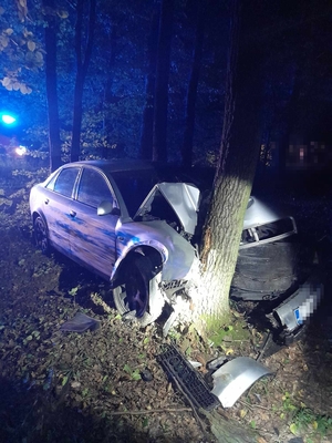 Zdjęcie uszkodzonego pojazdu w lesie