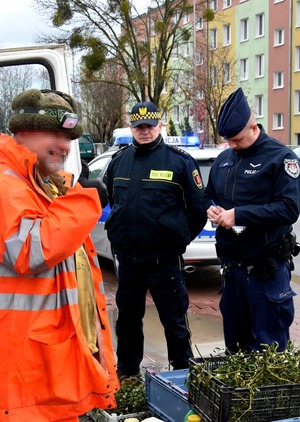 Funkcjonariusze podczas kontroli stoiska z rybami