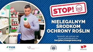 plakat kampanii