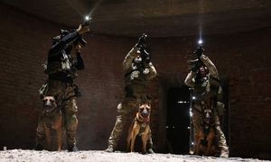 europejskie ćwiczenia k-9