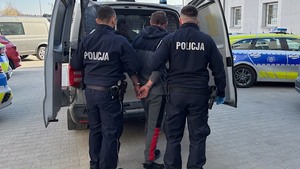 policjanci wprowadzają zatrzymanego do radiowozu