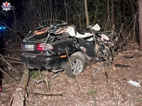 rozbity samochód w krzakach