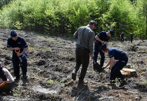 Zdjęcie przedstawia policjantów sadzących drzewa